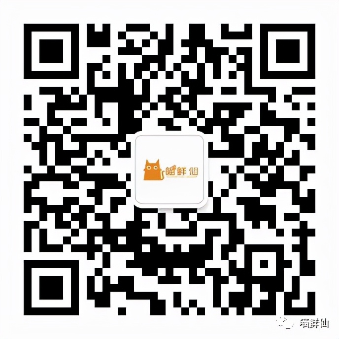 冬至不吃饺子和猫有什么关系,南方冬至猫咪吃汤圆