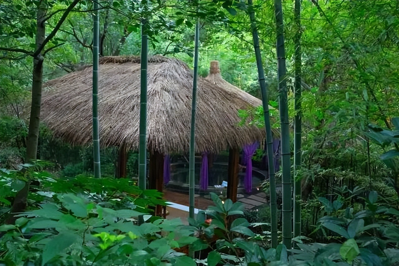 南山竹海御水温泉竹溪谷酒店,御水温泉竹溪谷酒店赏竹