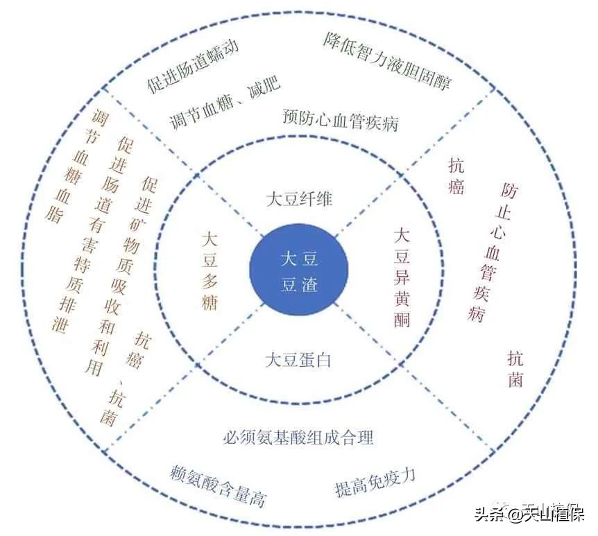 大豆全产业加工研究进展详情,大豆加工什么最有前途