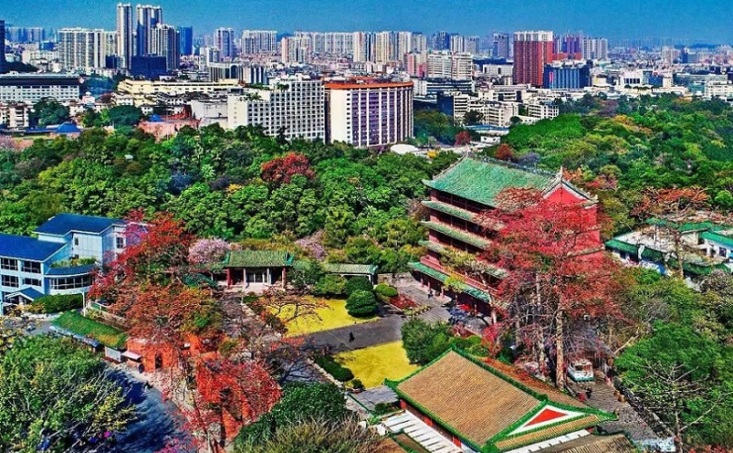 广州游玩必去十大景点推荐,广州旅游必去十大景点排名攻略