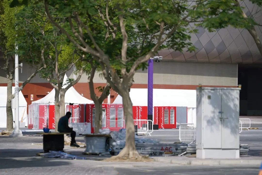 球迷哭了世界杯,球迷哭世界杯