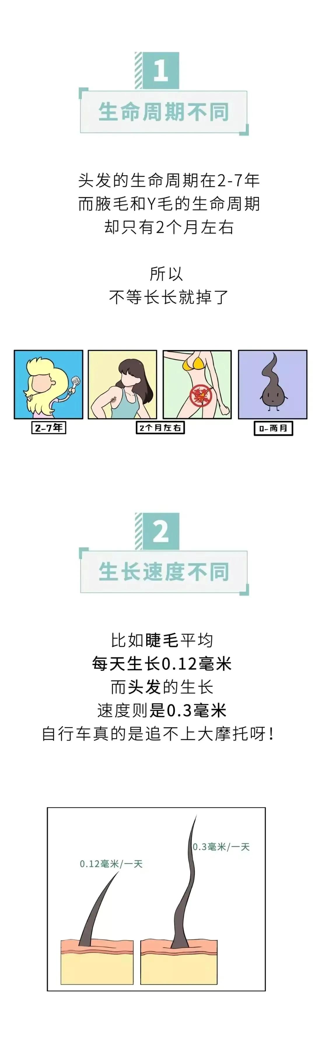 头发可以一直长，为什么“隐*处私**”的毛不能一直生长？