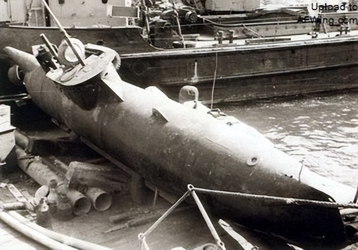 德国海军王牌潜艇,海豹的演化史