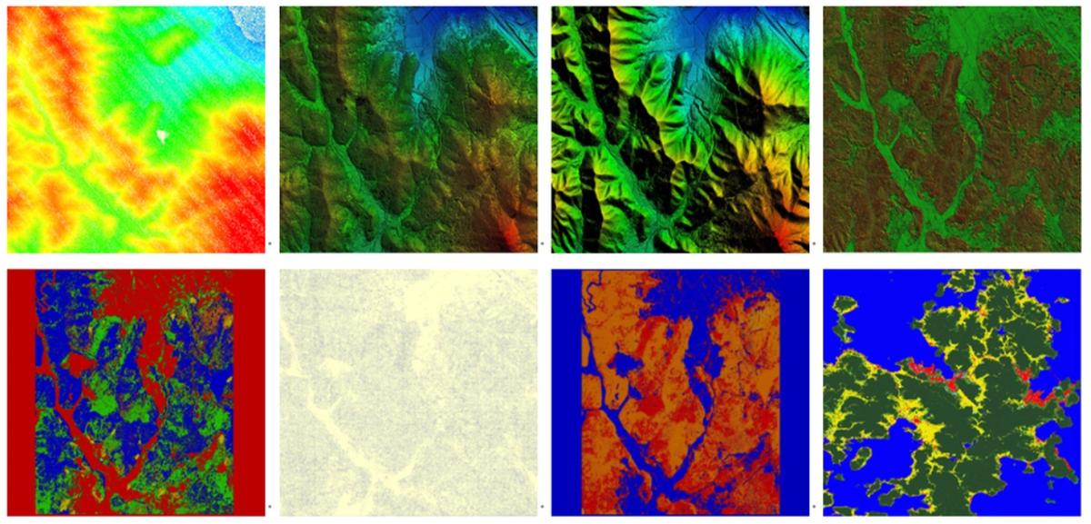 植物叶片营养成分检测仪,植株叶片检测技术
