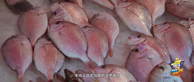 看海赶海视频大全,看海赶海适合去哪里玩