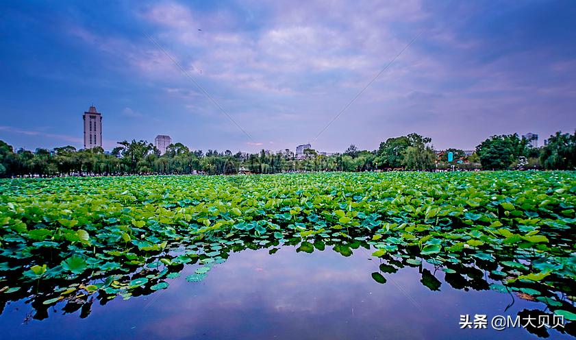 昆明市的7个区分布图,昆明市十三个区县地图