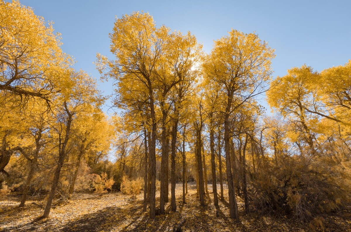 难言之隐全文,难言之隐完整视频