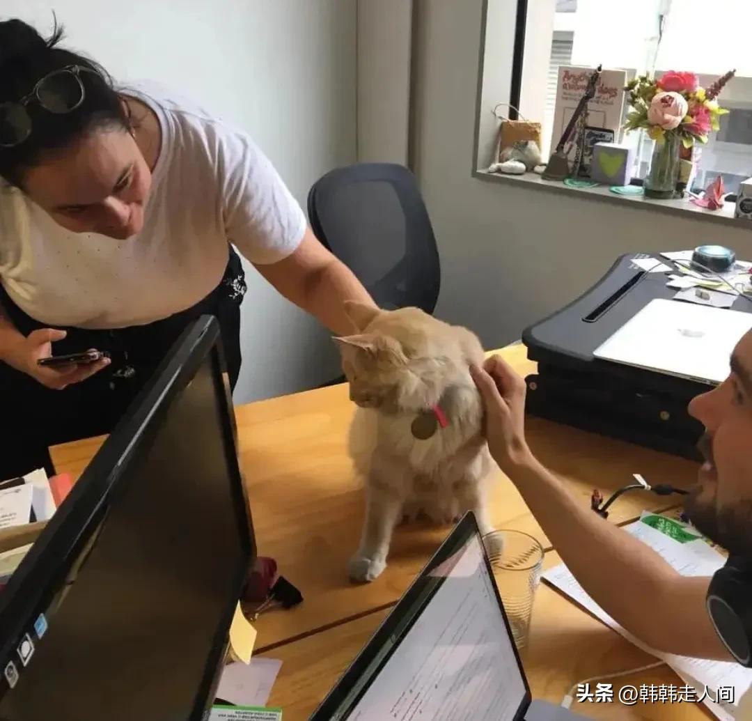 新西兰世界唯一的净土,新西兰一个隐藏的天堂