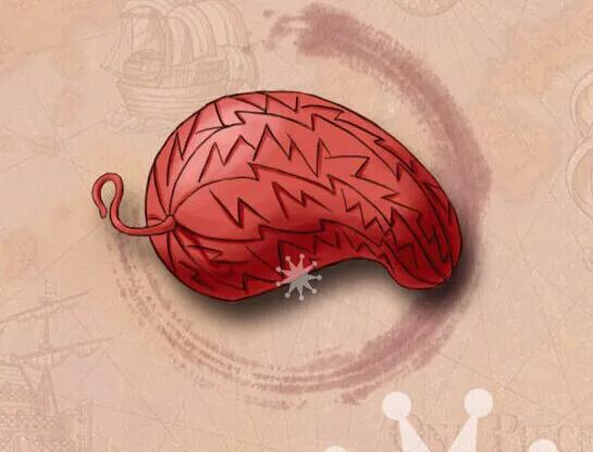 全部恶魔果实图鉴测试,《恶魔果实图鉴》排名图文