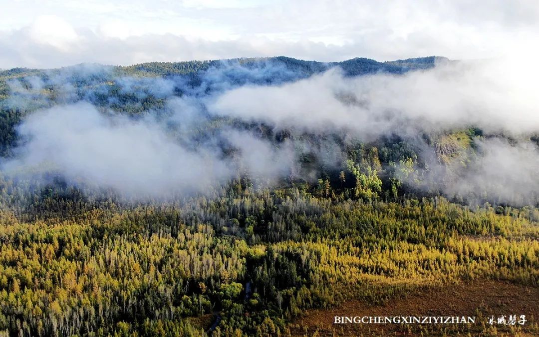 秋天大兴安岭最美的地方,秋天美丽的大兴安岭