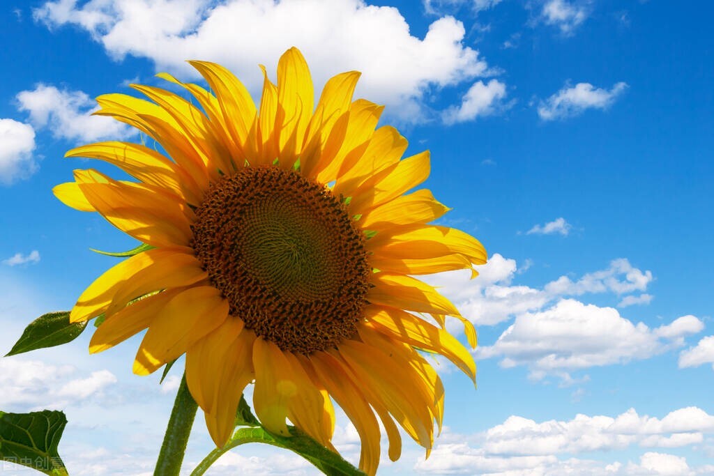 从事金融10年,金融电销入行条件