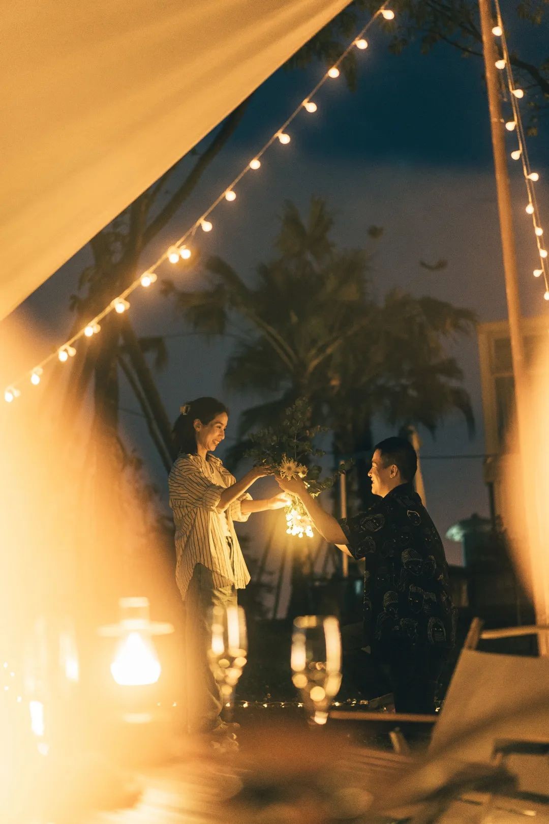 空港花田怎么免费开放,空港花田最新信息