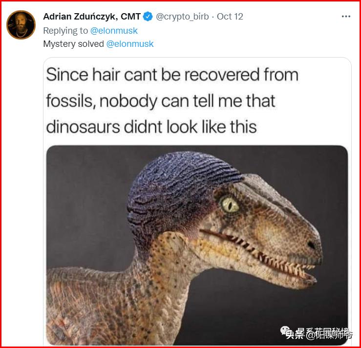 马斯克一开始没钱谁给投资,马斯克没有钱之前做什么