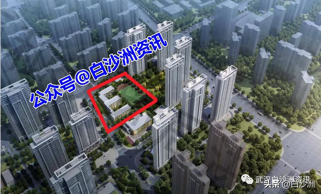 白沙洲小学新消息,白沙洲即将建设的小学