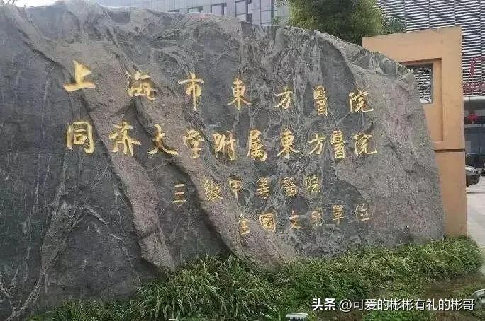 同济大学临床医学研究生好考吗,同济大学好考的研究生专业有哪些