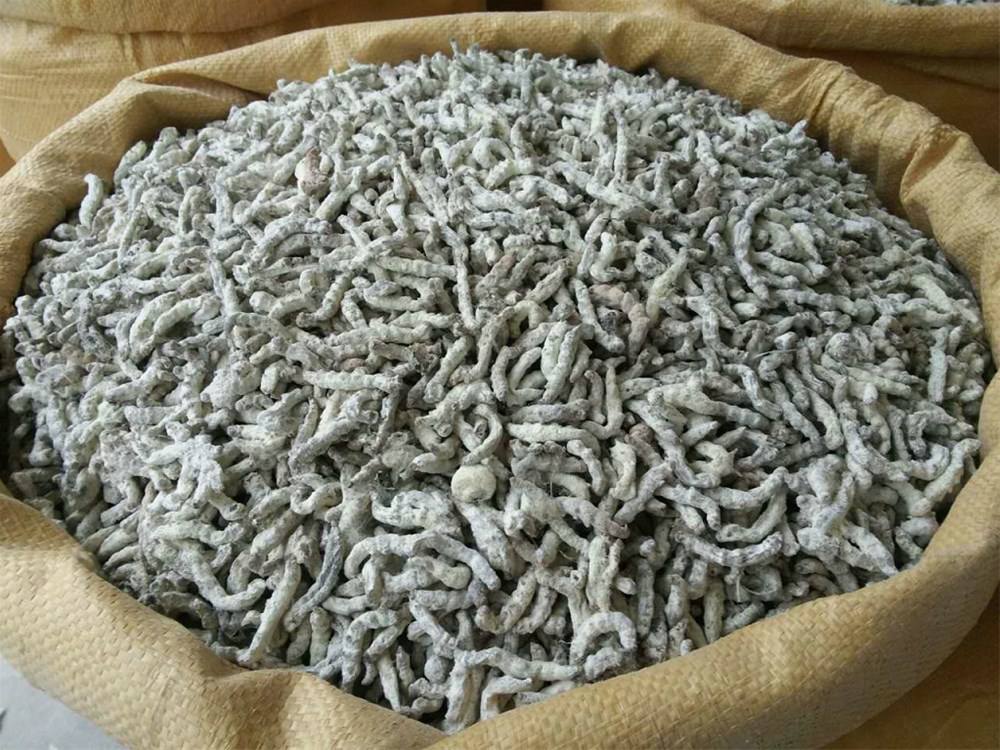 两味中药专治结节,一味中成药散结消肿