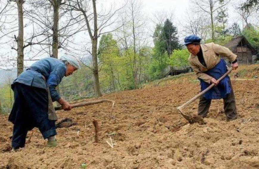 从服饰借代词看古代人物的社会身份，黄袍、红袖、青衣，什么意思
