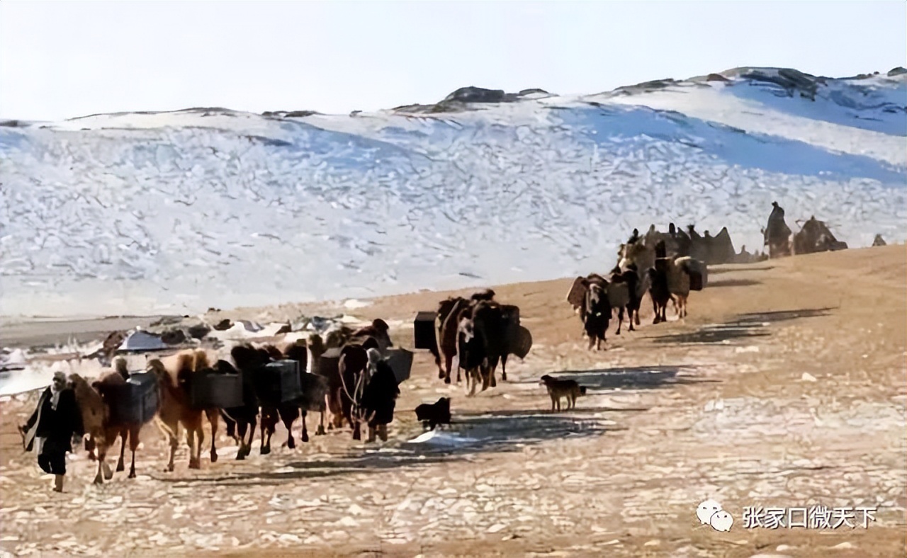 30年前张家口古宏庙街街景,张家口古宏大街以前叫什么