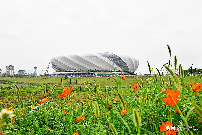 亚洲杯已出局的球队,有哪些足球俱乐部解散了
