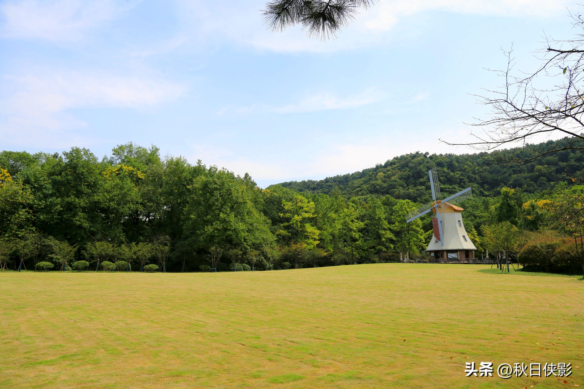 西湖边的免费小众景点,西湖边的公园