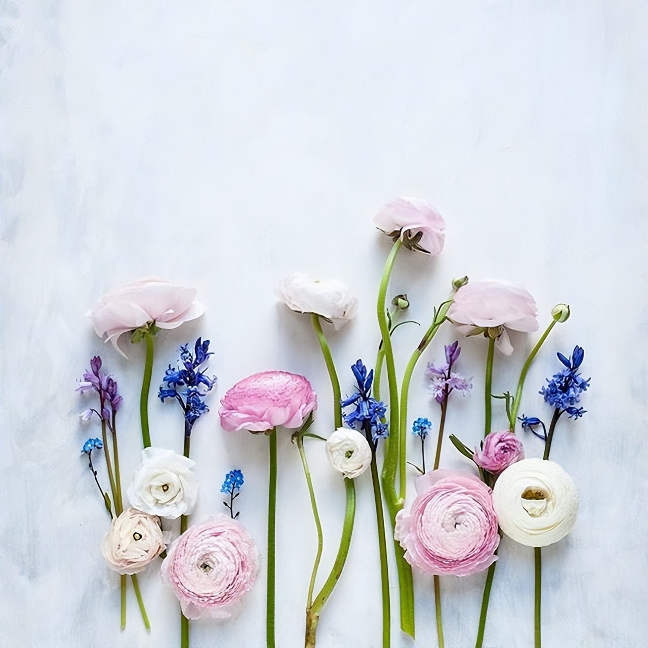 节日来临之际祝大家节日快乐,节日快乐的祝福语简短一句话