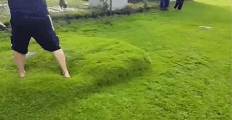 閲忓瓙鍔涘杞欢鎺ㄨ崘,閲忓瓙鍔涘杞欢