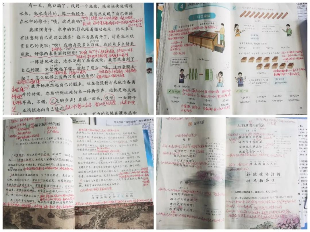 精耕务实切中肯綮,精耕务实