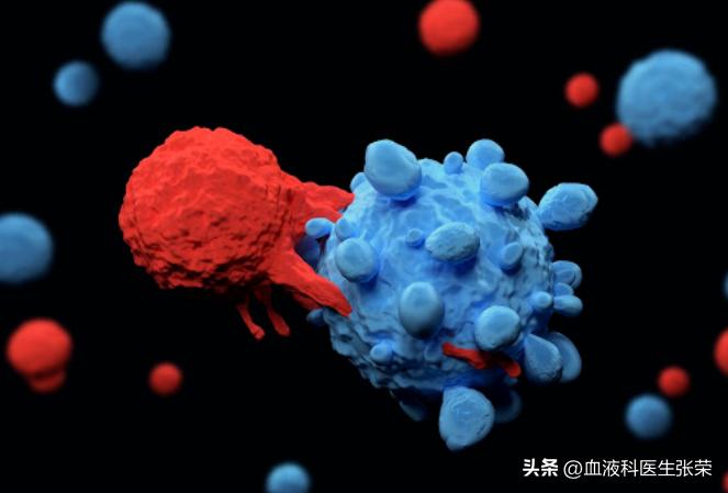 多发性骨髓瘤可以根治吗?日常生活中应该注意什么?带您深入了解