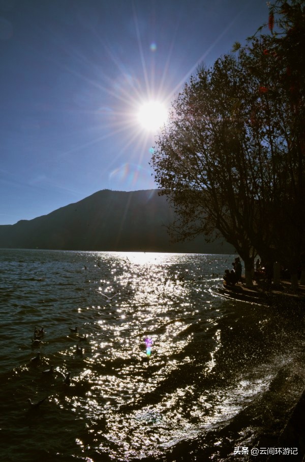 「一根风花雪月的鸡毛」（云南丨昆大丽香）