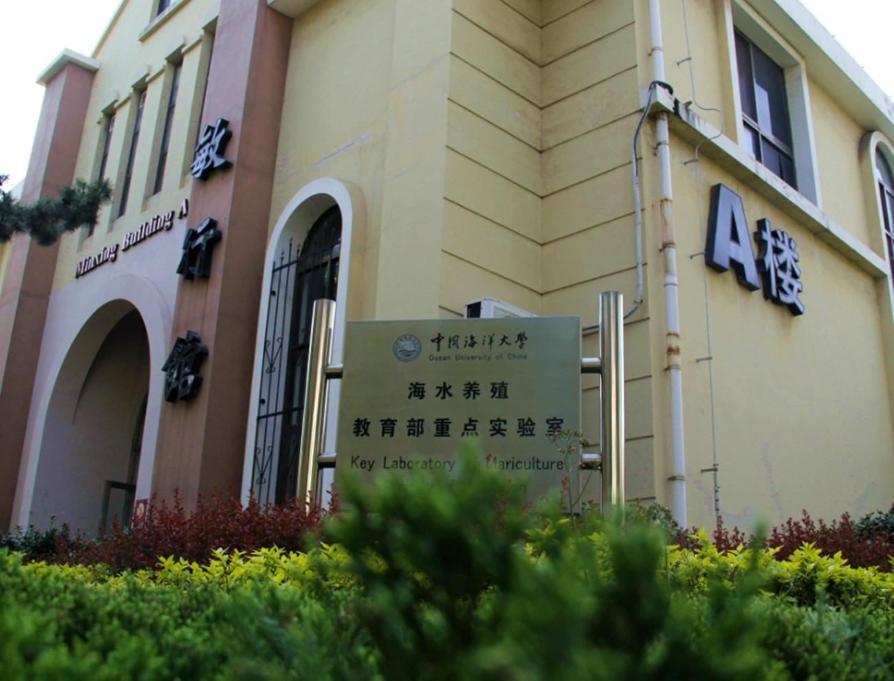 2020年中国海洋大学录取情况,中国海洋大学2021年录取一览表