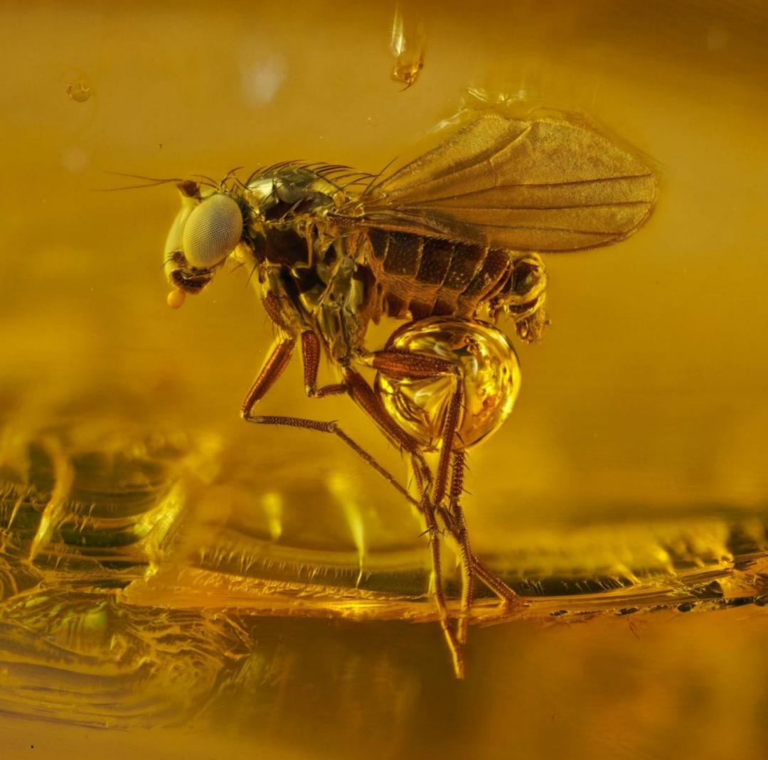 你最想知道的科学图片,你最喜欢哪一张图片