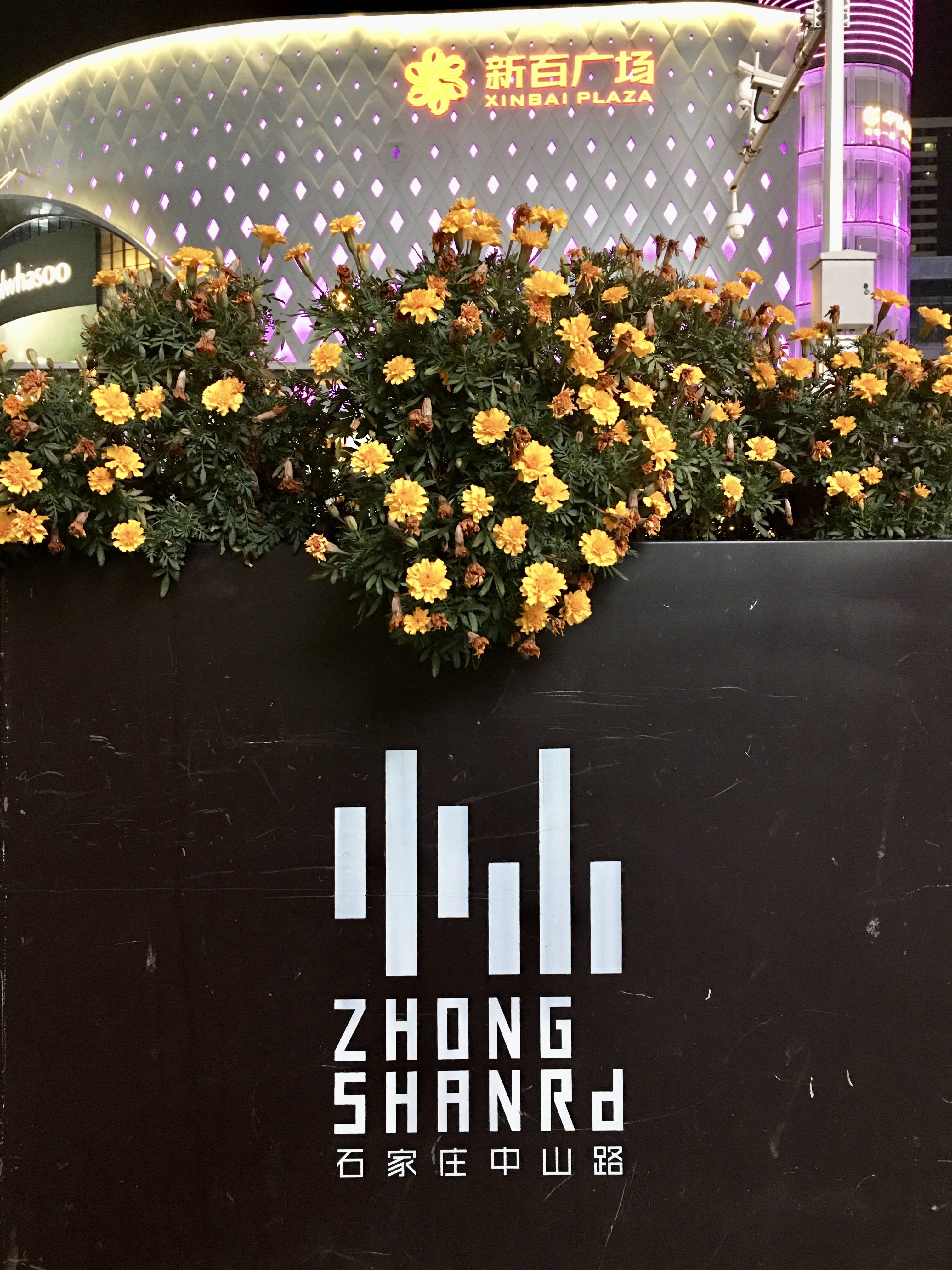 石家庄的长安街在哪里,石家庄长安中山路