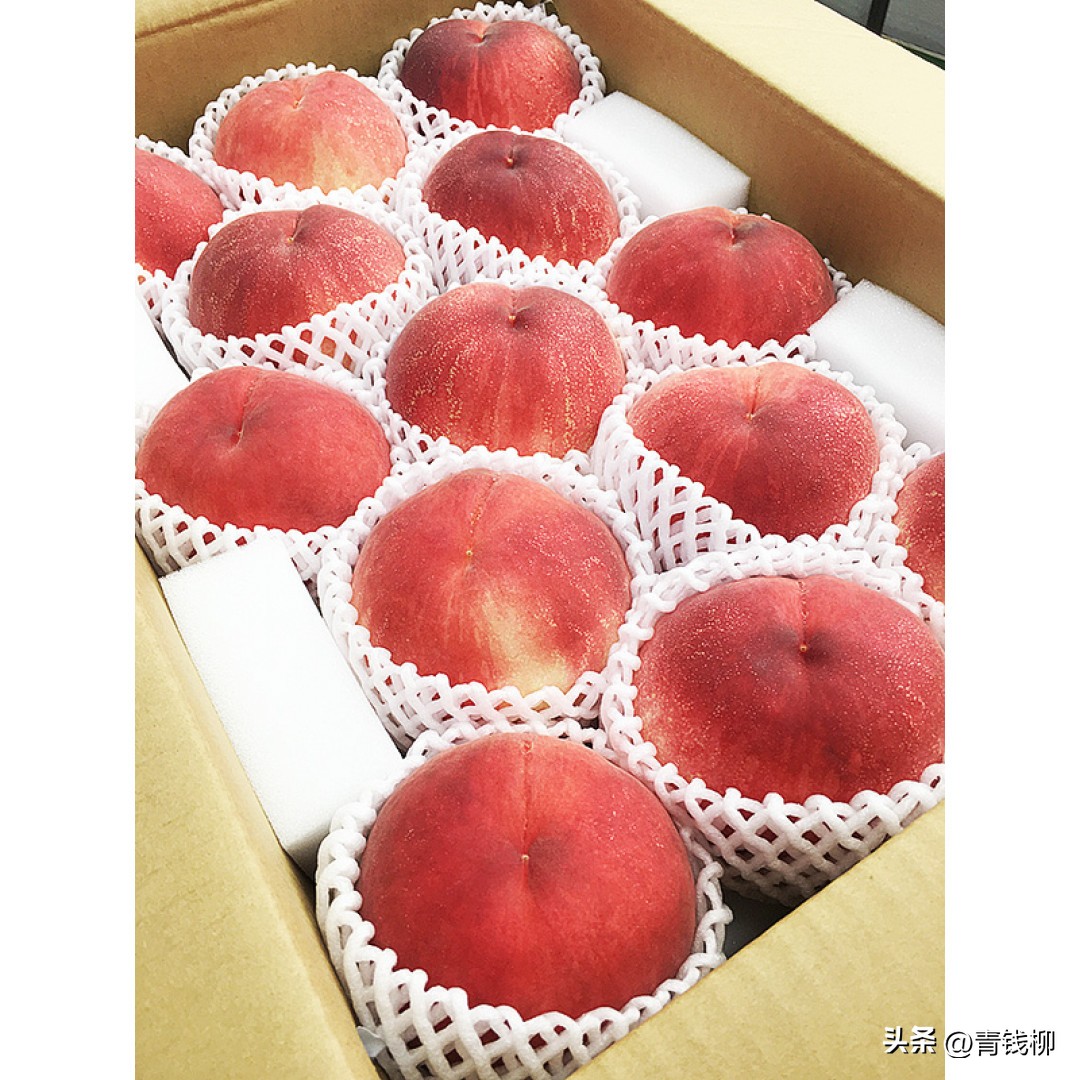 南汇水蜜桃开花后怎样管理,浦东水蜜桃