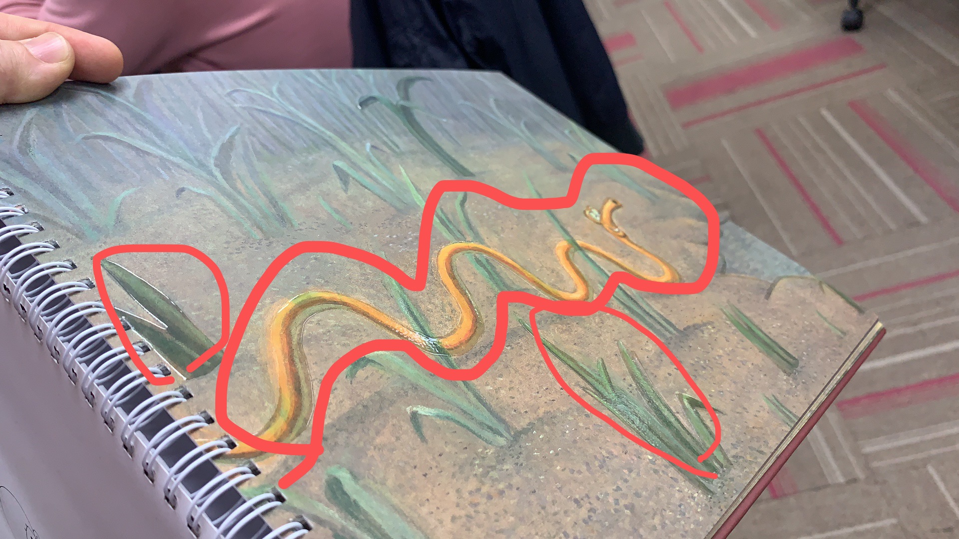 海伦凯勒怎么学的盲文,海伦凯勒的盲文是什么式的盲文