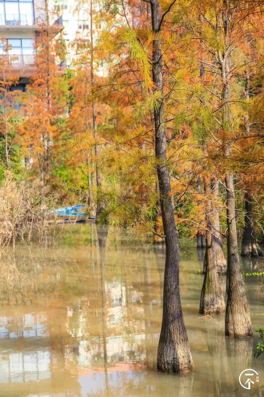 深圳4个绝美海岛,深圳值得游玩的小岛