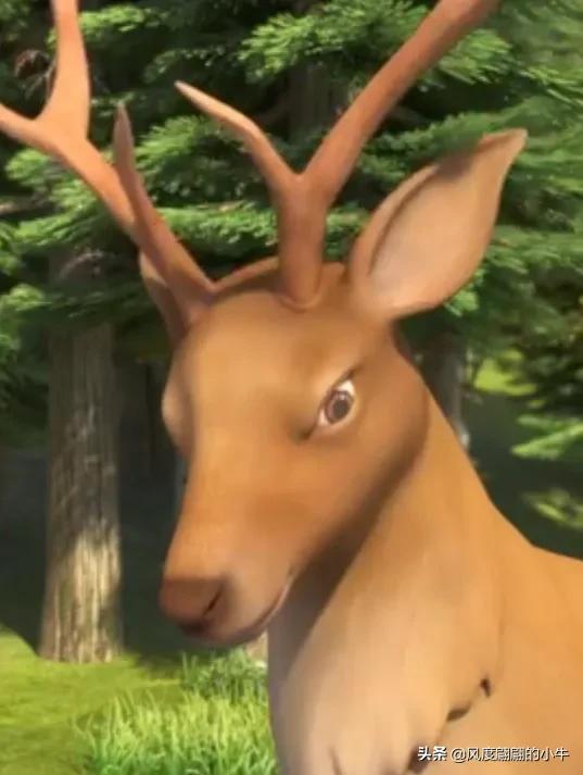 熊出没最厉害的角色,熊出没历代角色大全