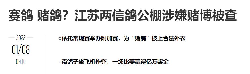 跟赛鸽比赛相比，世界杯*球赌**只能算小场面？