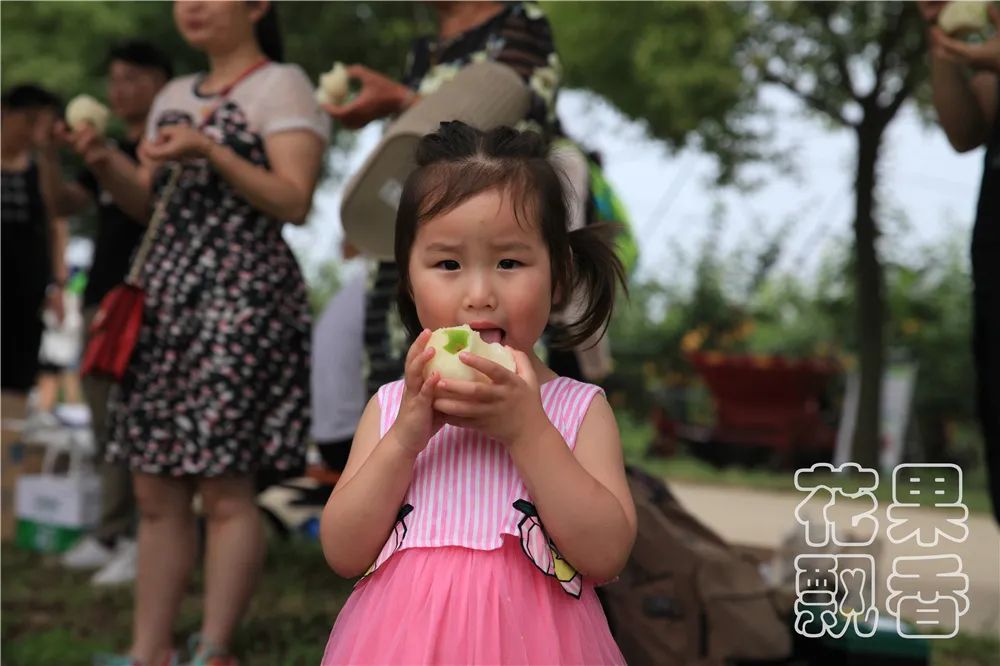 百果园种植技术,百果园的品种