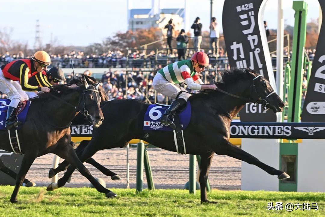 日本东京大赛第二名,日本赛马三冠赛事