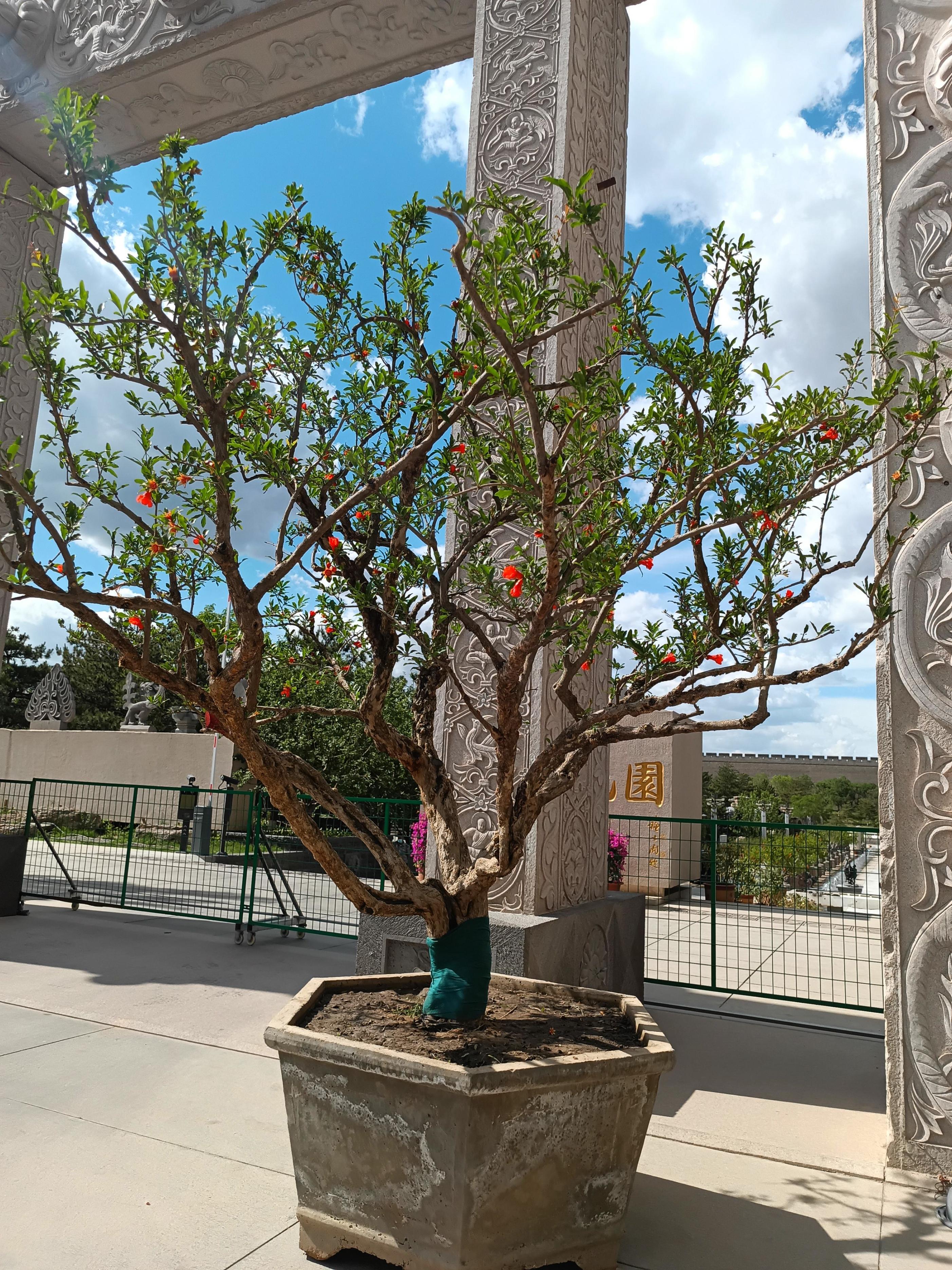 三防手机当随身wifi,三防手机能当普通手机用吗