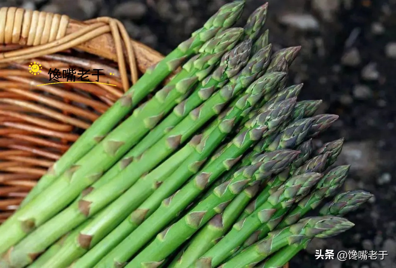 芦笋粗的还是细的好,购买芦笋绿色与白色哪种好