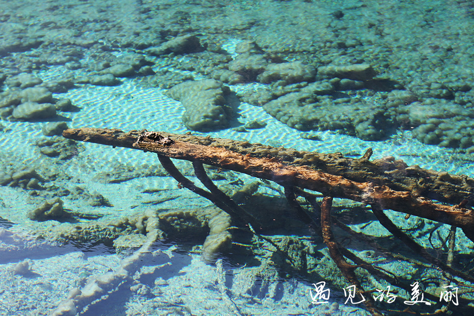 如果一生只去一个古城,一生去一次九寨沟