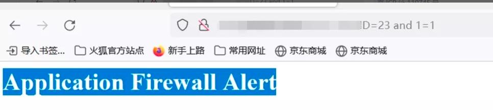 渗透测试中的漏洞挖掘与利用技术,渗透测试全套教程从原理到实战