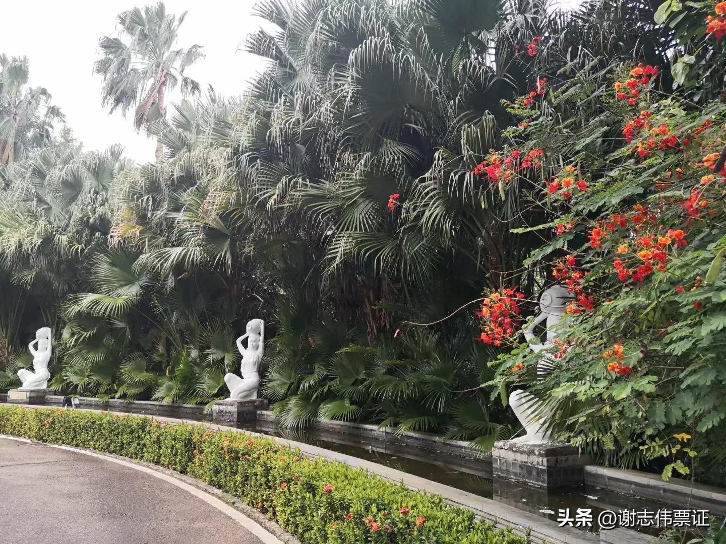 海南风情（050）彩色转盘新颖别致