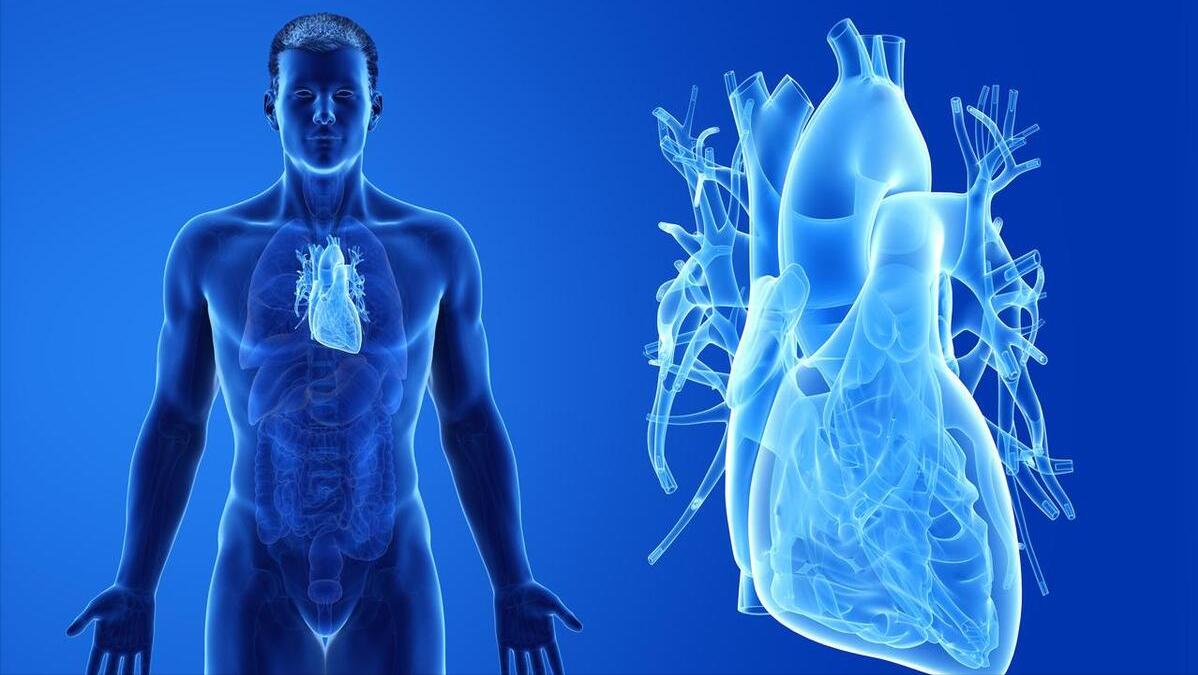 治咳有何方法,止咳的土办法有什么