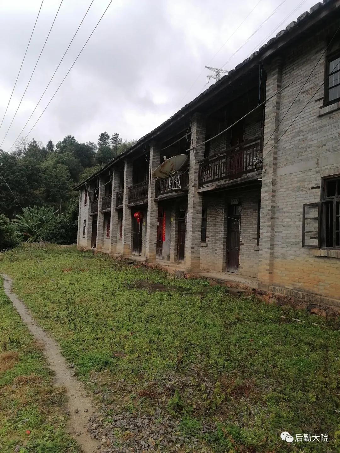 知青点的村支书叫“依派”