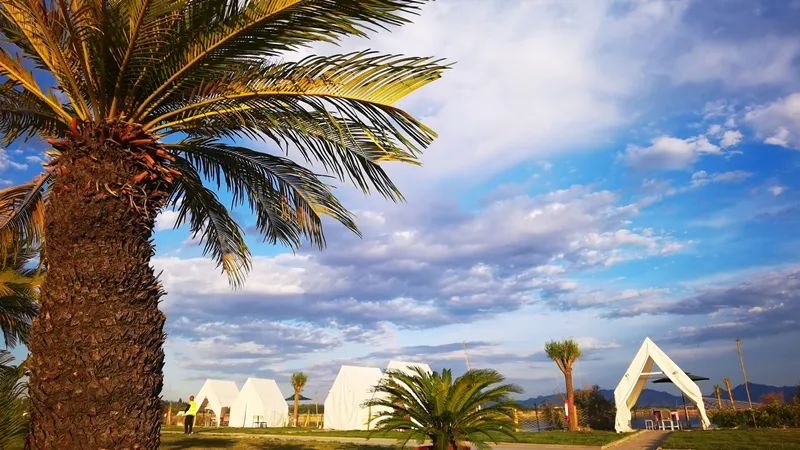 大同特色乡村旅游 (大同乡村旅游景点大全)
