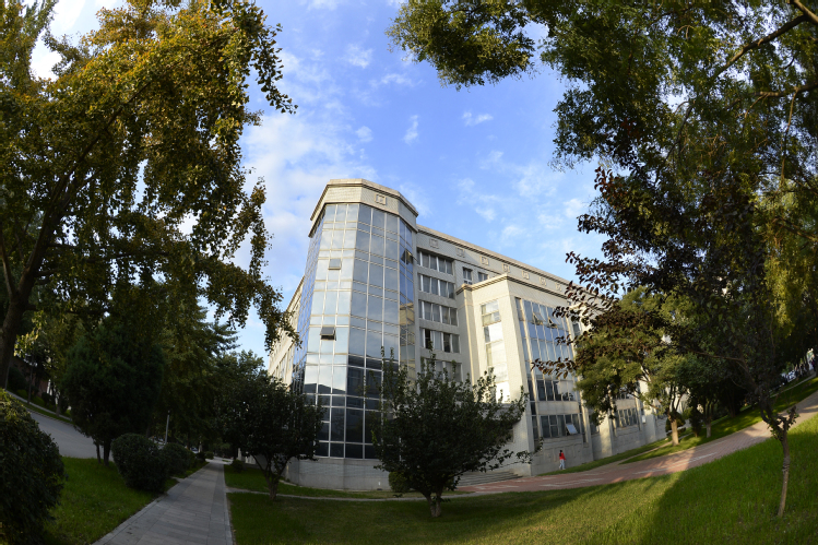 东北大学毕业生去向,东北大学2021届毕业生