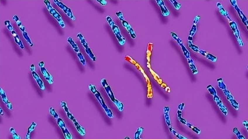 什么疾病诱发突然不来月经,疾病导致月经不来