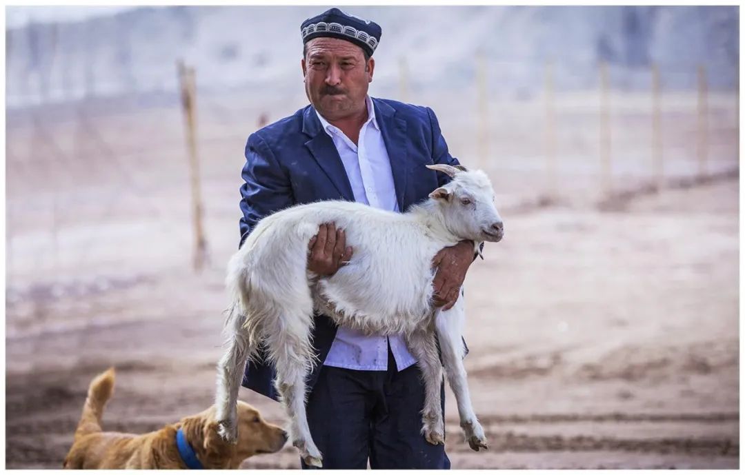 中国吃羊的视频,中国饮食行业三巨头